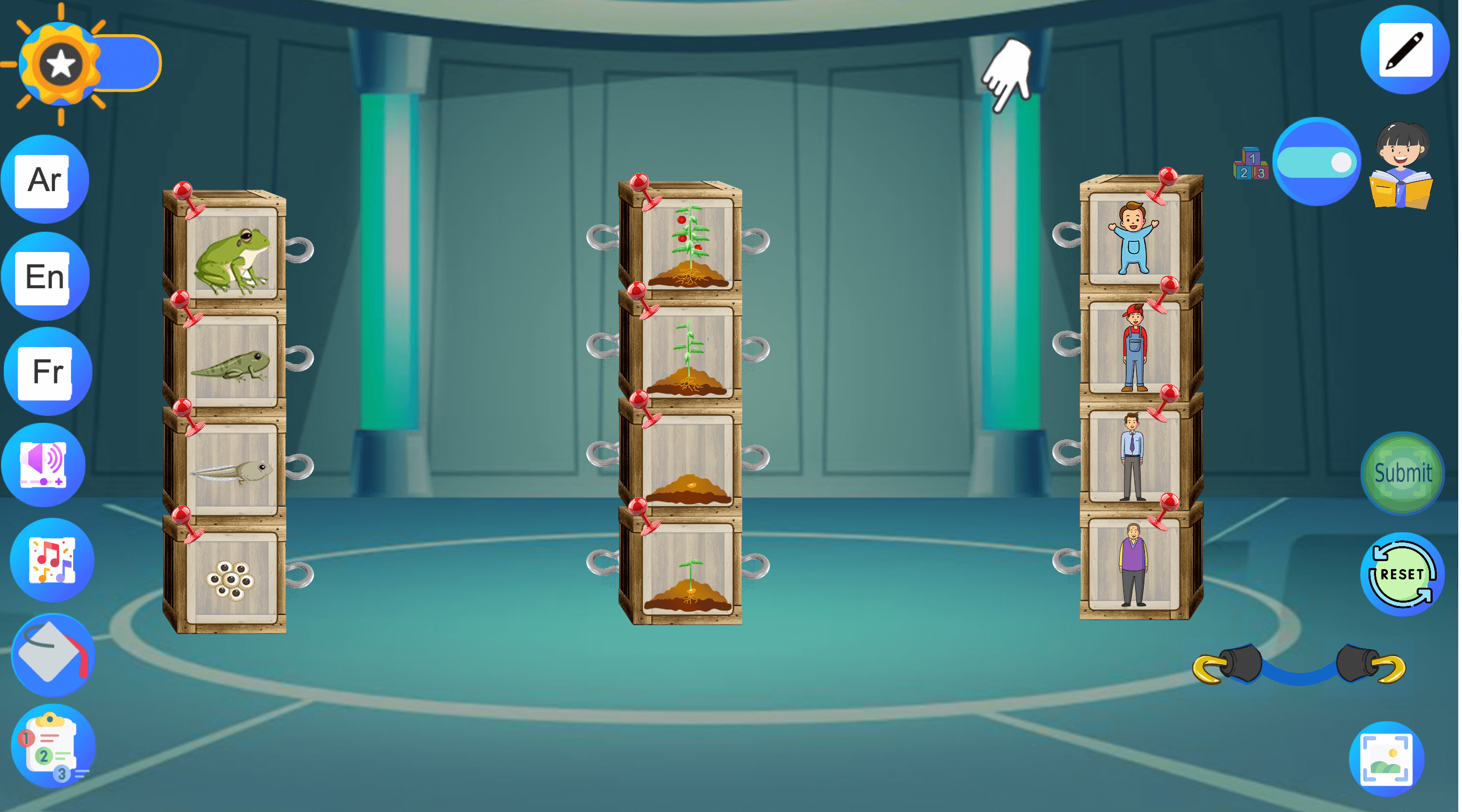 Life Stages of Humans, Plants, and Animals